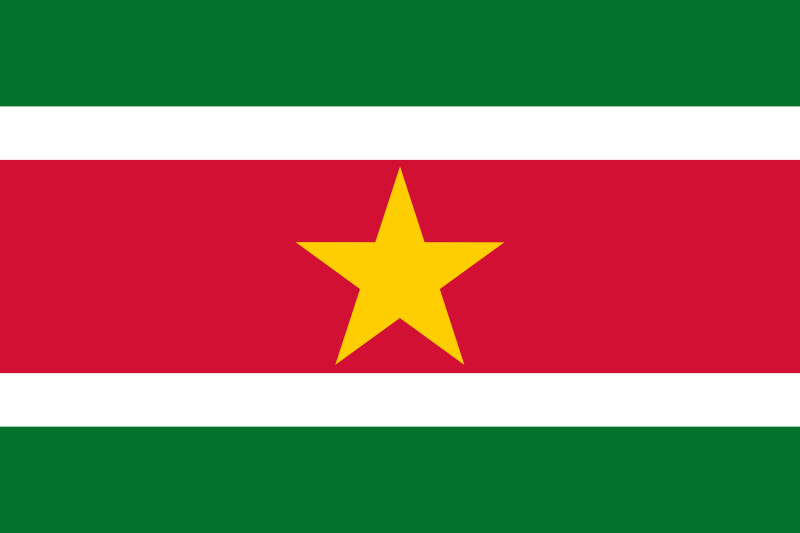 Suriname Official Flag